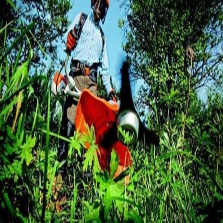 Gardening-Service
